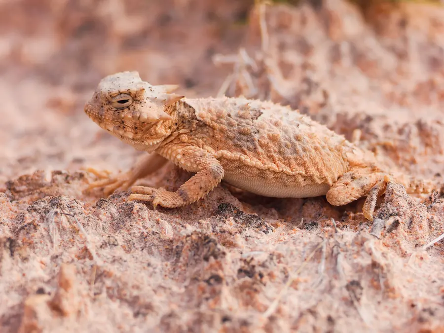 Biodiversity